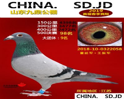 山东九鼎决赛98名