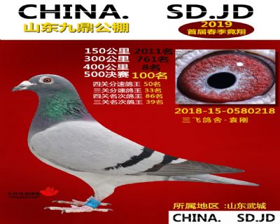 山东九鼎决赛100名