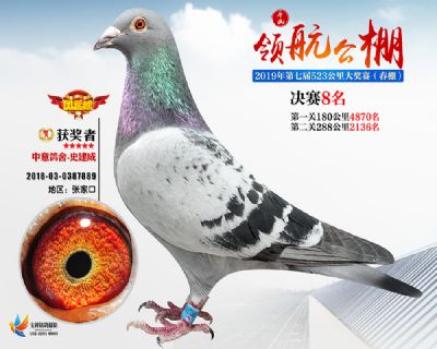 唐山领航决赛8名
