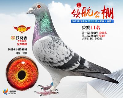 唐山领航决赛11名