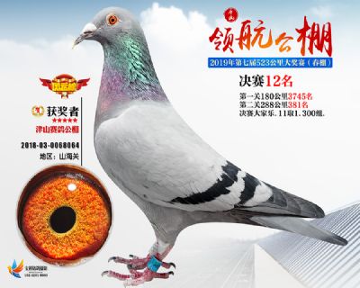 唐山领航决赛12名