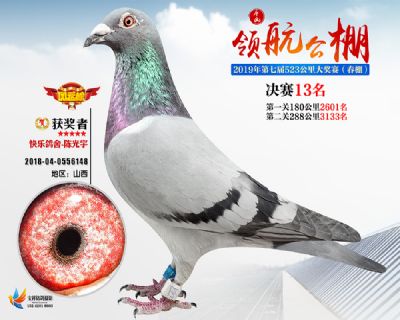 唐山领航决赛13名
