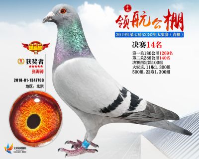 唐山领航决赛14名