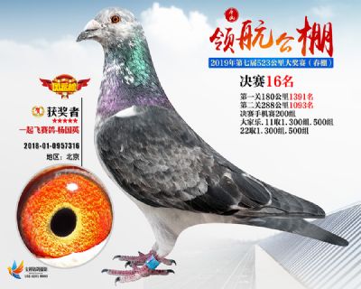 唐山领航决赛16名