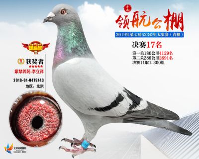 唐山领航决赛17名