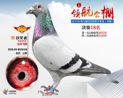 唐山领航决赛18名