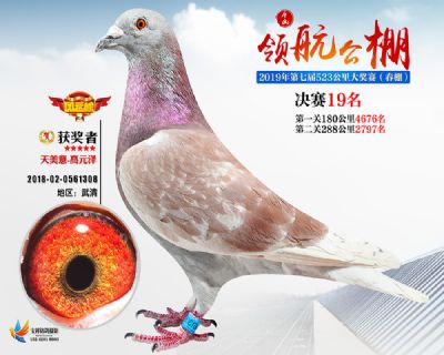 唐山领航决赛19名