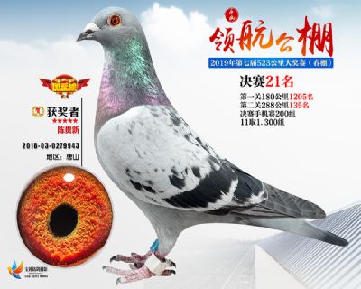 唐山领航决赛21名