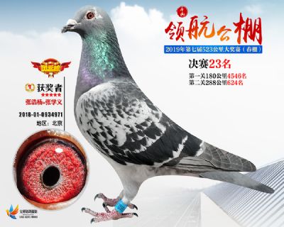唐山领航决赛23名
