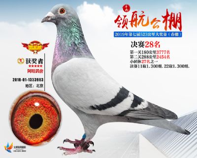唐山领航决赛28名