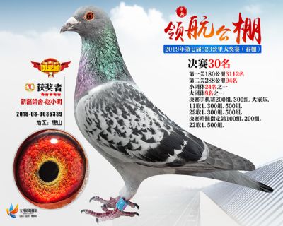唐山领航决赛30名