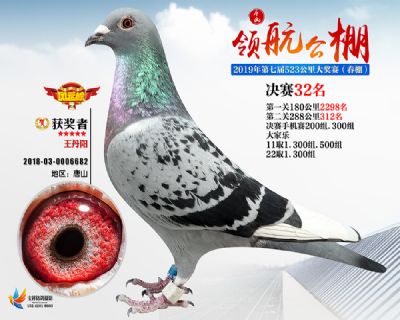 唐山领航决赛32名