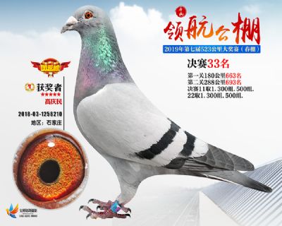 唐山领航决赛33名