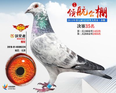 唐山领航决赛35名