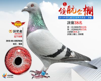 唐山领航决赛38名