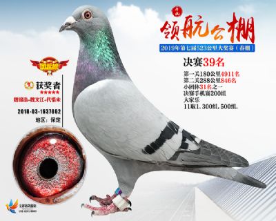 唐山领航决赛39名
