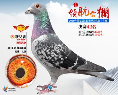 唐山领航决赛42名