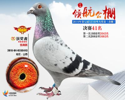 唐山领航决赛41名