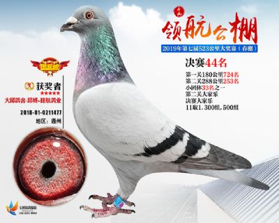 唐山领航决赛44名