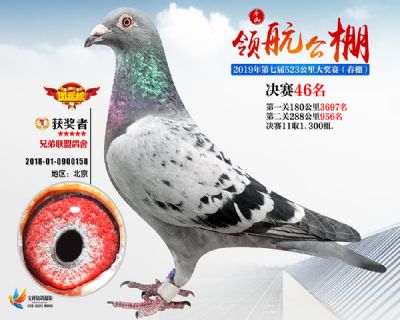 唐山领航决赛46名