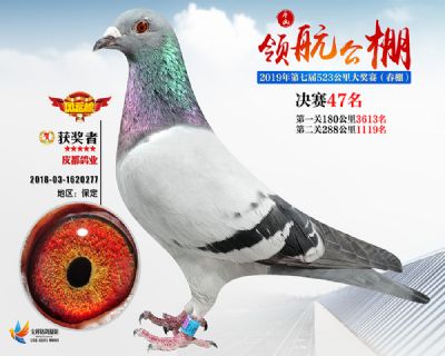 唐山领航决赛47名