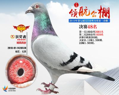 唐山领航决赛48名