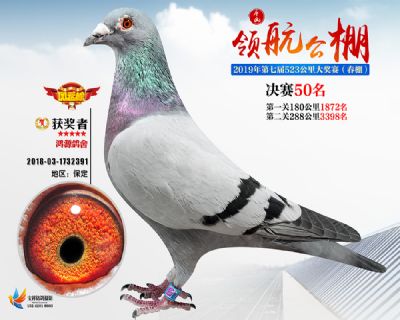 唐山领航决赛50名