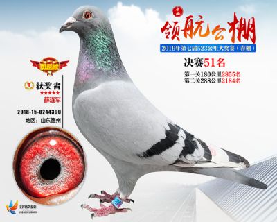 唐山领航决赛51名