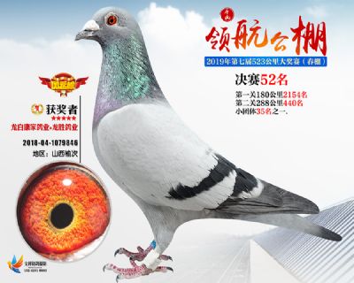 唐山领航决赛52名