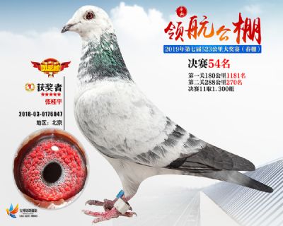 唐山领航决赛54名