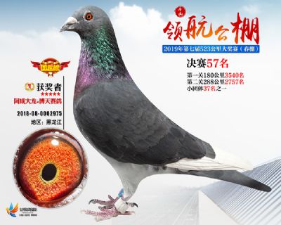 唐山领航决赛57名