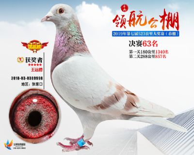 唐山领航决赛63名