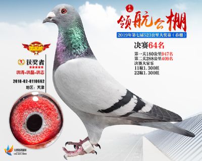 唐山领航决赛64名