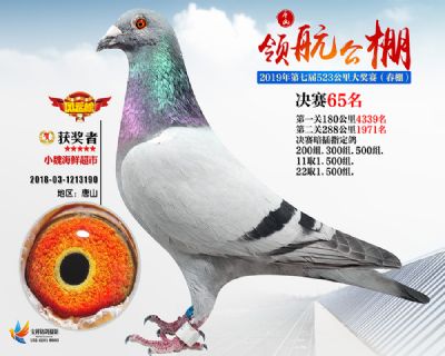 唐山领航决赛65名