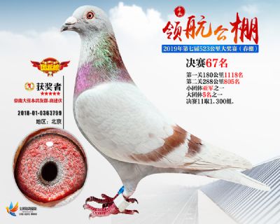 唐山领航决赛67名
