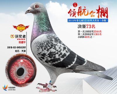 唐山领航决赛73名