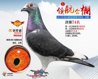 唐山领航决赛74名