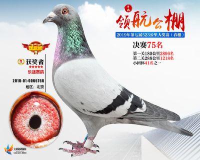 唐山领航决赛75名