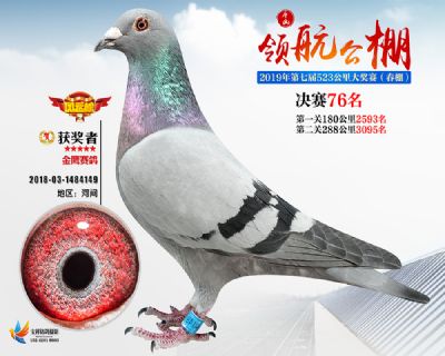 唐山领航决赛76名