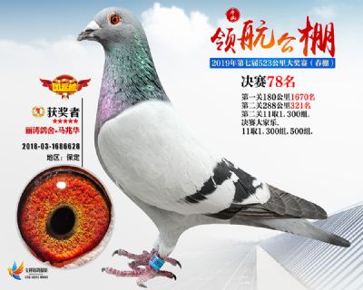 唐山领航决赛78名
