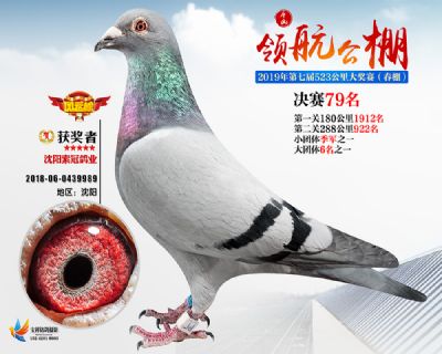 唐山领航决赛79名