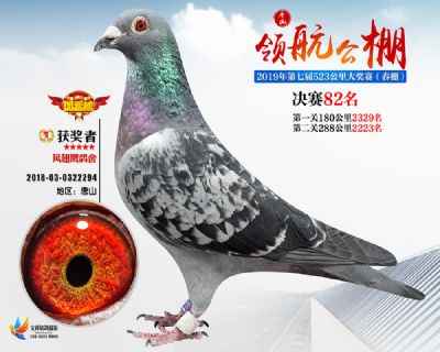 唐山领航决赛82名