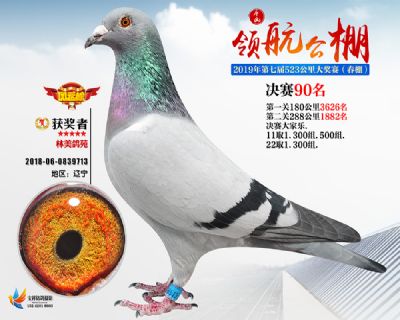 唐山领航决赛90名