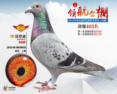 唐山领航决赛403名