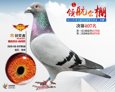 唐山领航决赛407名