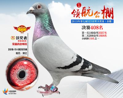唐山领航决赛408名