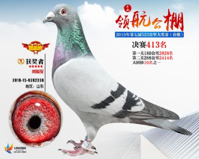 唐山领航决赛413名