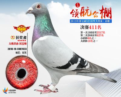 唐山领航决赛411名
