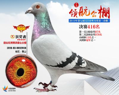 唐山领航决赛416名