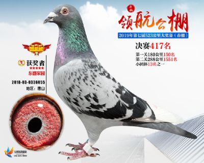 唐山领航决赛417名